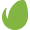 Envato Studio