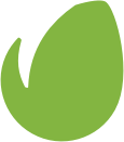 Envato
